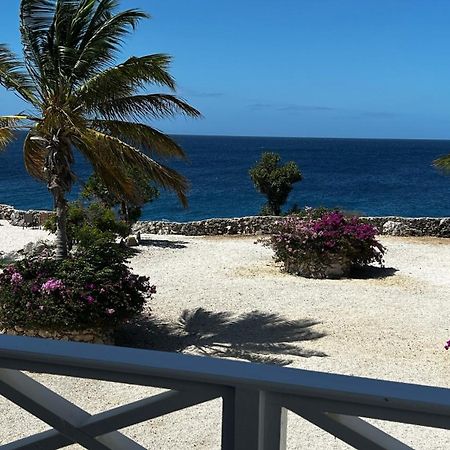Marazul Dive Resort. 3 Bedroom Seafront House. Dive, Snorkel, Enjoy Amazing Sunsets Westpunt Экстерьер фото