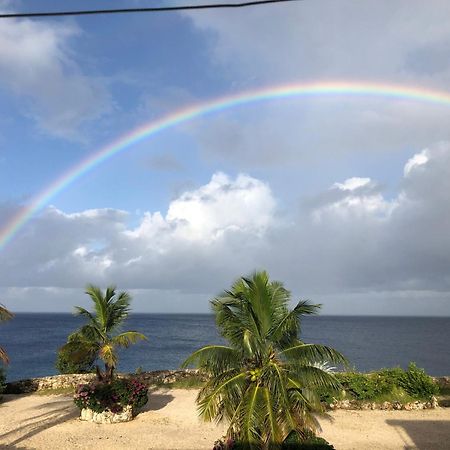 Marazul Dive Resort. 3 Bedroom Seafront House. Dive, Snorkel, Enjoy Amazing Sunsets Westpunt Экстерьер фото